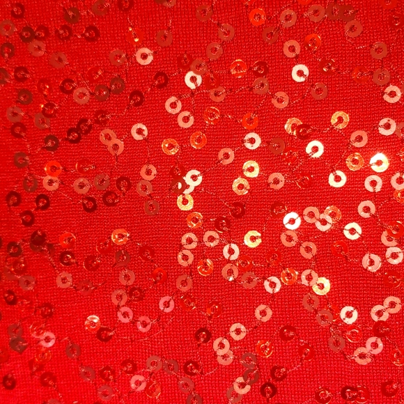 Eileen Fisher long sleeve red sequin top size XL - Picture 4 of 5
